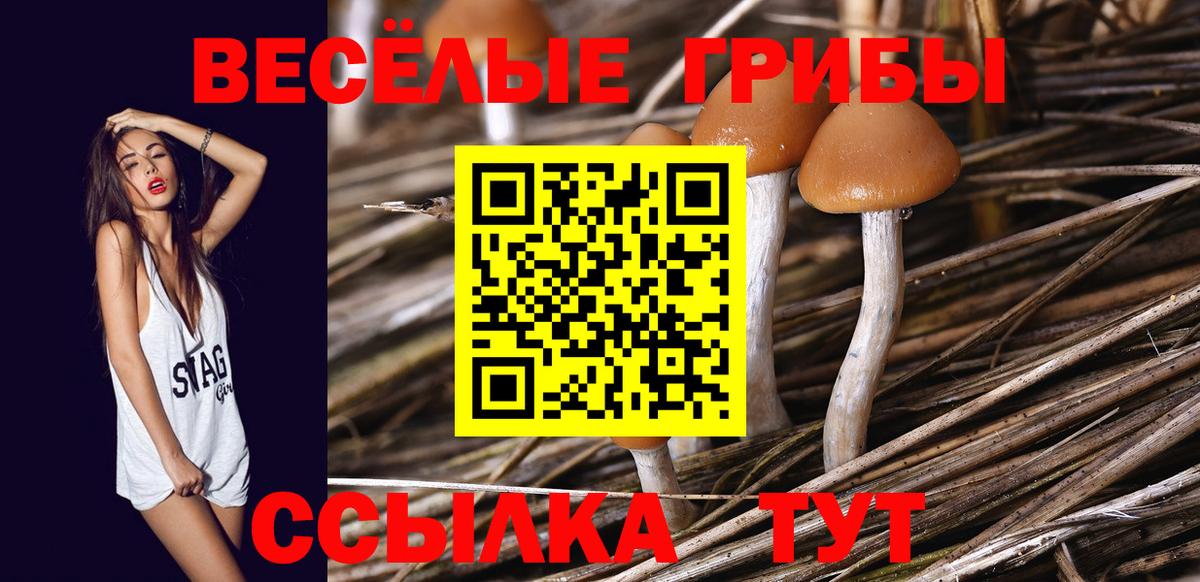 Псилоцибиновые грибы GOLDEN TEACHER Каспийск