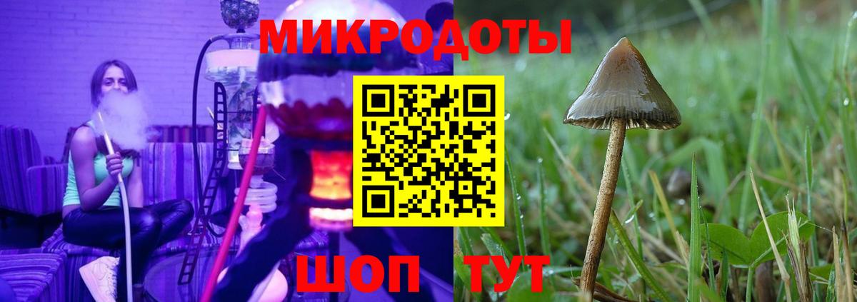 Галлюциногенные грибы Cubensis  Вход с VPN  Галлюциногенные грибы Psilocybine cubensis  Каспийск 